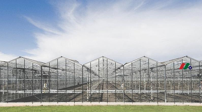 大麻概念股：Innovative Industrial Properties(IIPR)-图片2