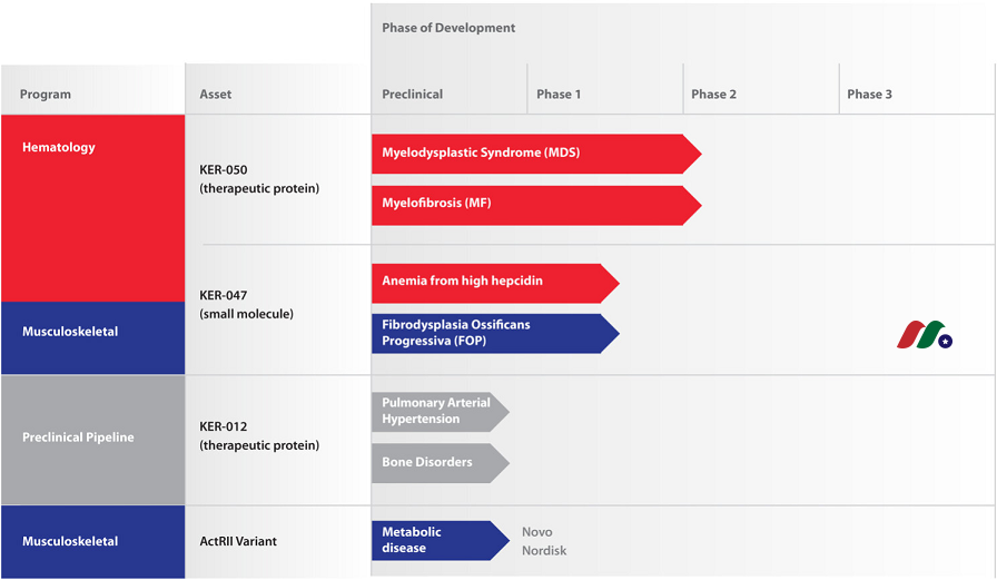 临床阶段的生物制药公司:Keros Therapeutics(KROS)-图片2