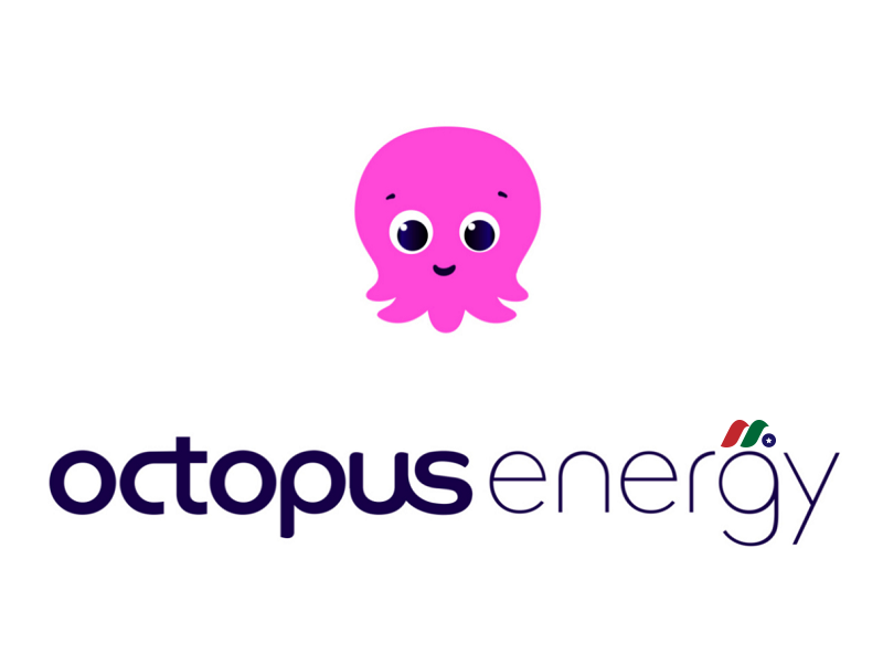 英国可再生能源集团公司：Octopus Energy Group Ltd.-图片1